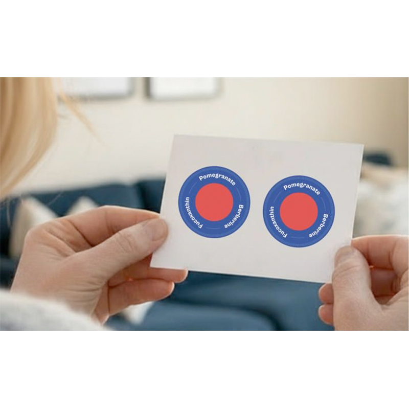 glp 1 pflaster purisaki